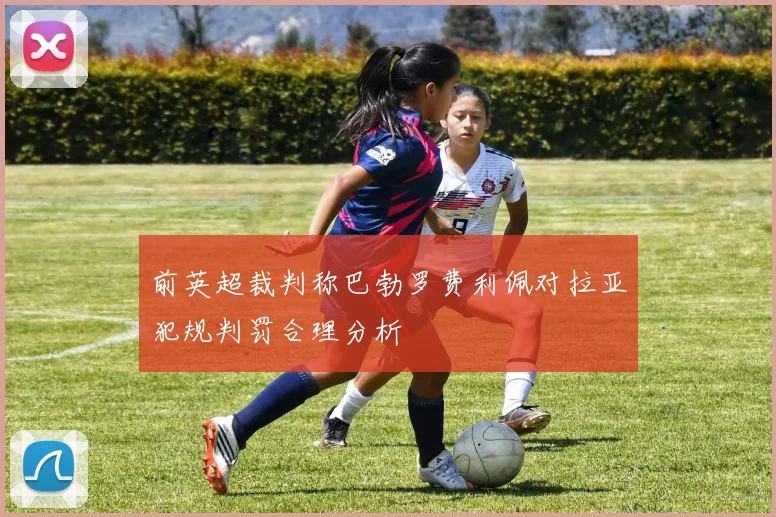 前英超裁判称巴勃罗费利佩对拉亚犯规判罚合理分析